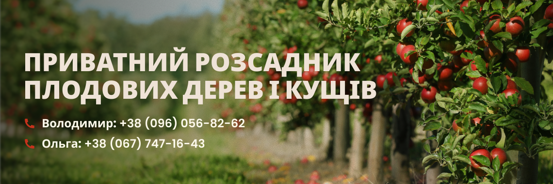 Саджанці плодових дерев Кременчук, Бабичівка